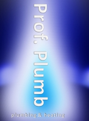 Professor Plumb – 07900 241640 